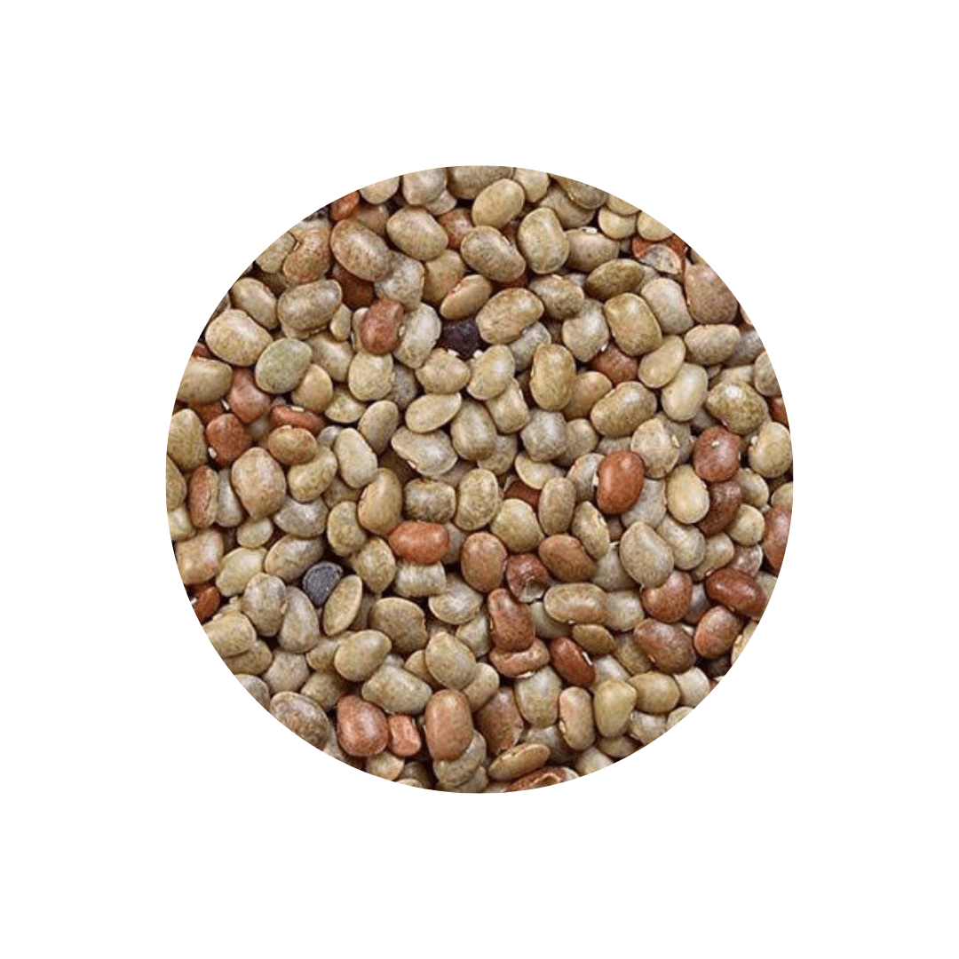 Horse Gram(Gohat)
